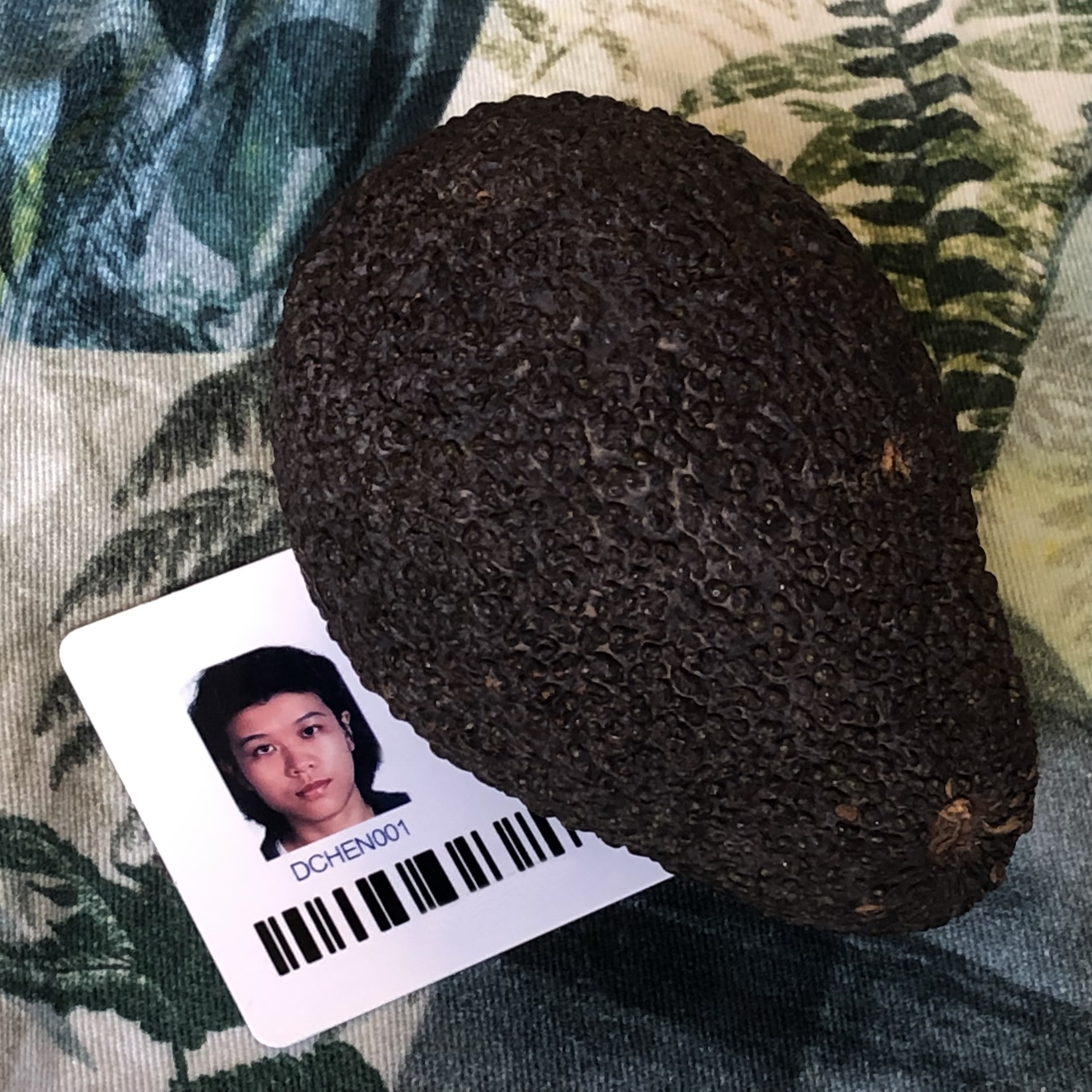 picture of Di Chen's school ID card with an avocado on top of it